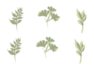 set of flower elements with Brush Stroke Textures