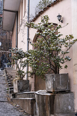 Door in the old town of Tbilisi
