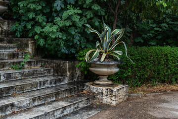 National Garden in Athens landscape
