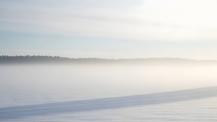 Obraz premium Foggy landscape with trees and water under a soft morning light