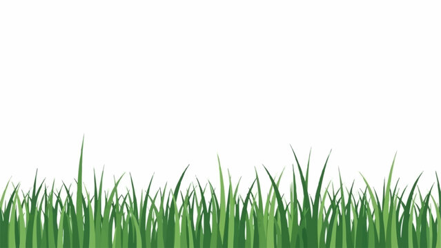 Green grass blades growing upwards on a white background.