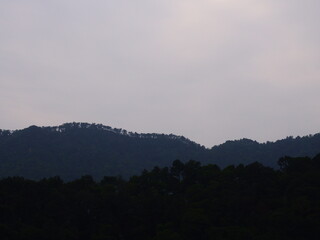 Silhouette of a rolling mountain ridge covered in dark forest under a moody, overcast sky at dawn or dusk. Atmospheric natural landscape