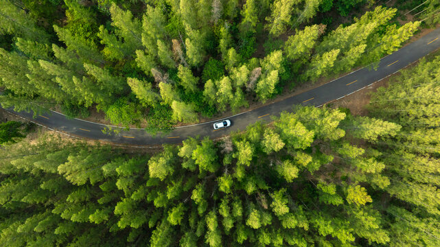 Aerial view of dark green forest road and white electric car Natural landscape and elevated roads Adventure travel and transportation and environmental protection concept	