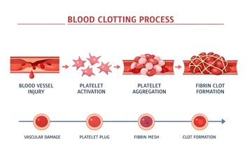 Platelets and Blood Clotting Process Healthcare Infographic 