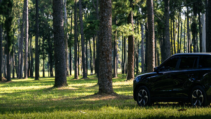 Sustainable Mobility Concept with Electric Vehicle in Nature of Travel Concept Electric Car in Forest