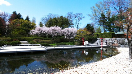 百合が原公園の瀋芳園