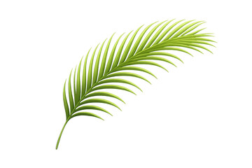 Obraz premium Fresh green palm frond vector illustration on transparent background, symbolizing tropical nature, vacation, and summer design elements