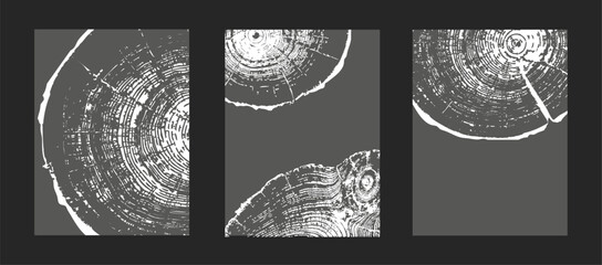 Set of tree ring patterns, wooden texture on dark backgrounds. Natural wood grain templates with circular trunk cross-sections, featuring tree trunk slices with annual rings for design projects Vector