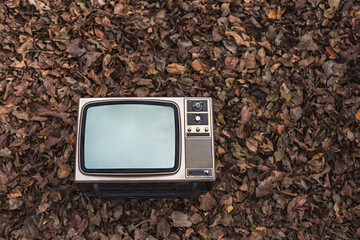 Retro old TV on pile of dry leaves in the forest.