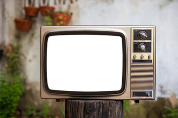 Retro old-fashioned TV with cut out screen on tree stump in the garden. White blank screen