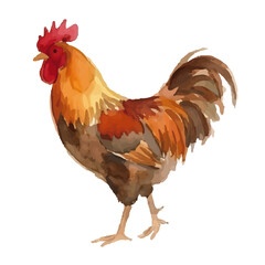 Watercolor-style chicken illustration／鶏