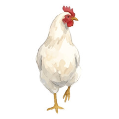 Watercolor-style chicken illustration／鶏