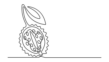 Minimal line art illustration of tropical lychee fruit healthy food vector