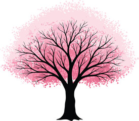Obraz premium Pink blossom tree vector illustration with black trunk isolated on white for spring nature design