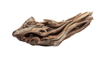 Twisted, weathered driftwood piece against a black backdrop
