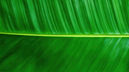 A close-up of a vibrant green leaf showcasing its intricate texture and natural patterns.