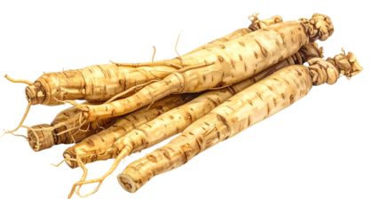 A close-up shot of several tan-colored, root-like structures, with varying lengths and shapes, piled together. Some have thin, stringy roots