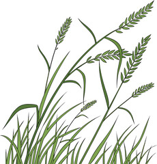 grass-in-the-field-border-isoleted-white-background silhouette vector design