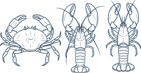 Hand drawn crab and lobster outline vector illustration set showing marine crustaceans from multiple views © MstMukta