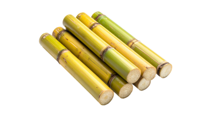 Close-up of several sugar cane stalks, exhibiting varied colors and textures, isolated on a black background