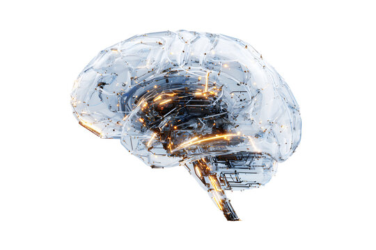 Digital white brain design overlaid isolated on cutout PNG or transparent background. Future Technology.	Computer programming code and structural elements. Has futuristic, tech-inspired appearance.