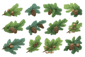 Various green conifer branches featuring pine cones and needles, providing a versatile holiday decoration and nature theme