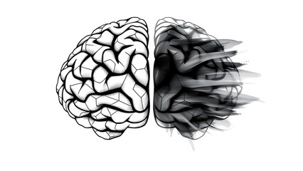 hemisphere. Split brain hemisphere concept blending geometric precision with fluid creativity on neutral background. wellbeing guides.