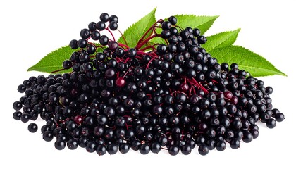 Fresh Elderberries with Leaves on White Background.