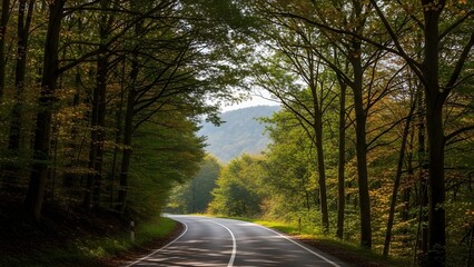 A Serene Winding Road Passing Through a Lush Deciduous Forest with Tall Trees Creating a Natural Canopy, Leading Toward Misty Sun-Drenched Hills in the Distance During a Peaceful Afternoon Journey