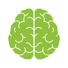 Brain Illustration Vector