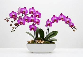 Orchid arrangement on white background, purple orchids, exotic flowers, elegant stems, minimalist design, luxury bouquet
