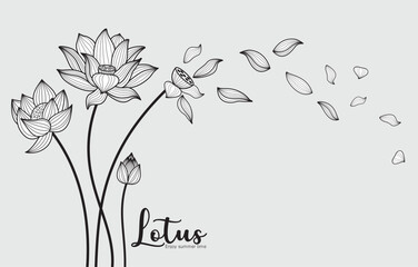 Wild flower lotus in a vector style isolated. Vector flower for background, Lotus flying wall decal children's room 