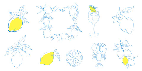 Lemon line art vector set &ndash; Mediterranean summer citrus for food and drink branding