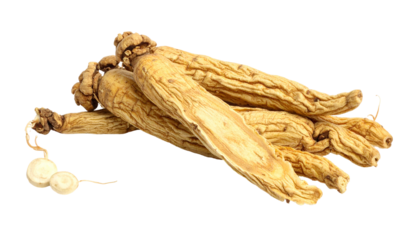 Close-up of several light-brown, dried root vegetables, possibly herbal medicine, placed on a transparent background, revealing their shape