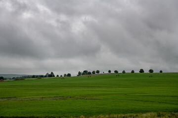 Green fields. in the Natal Midlands