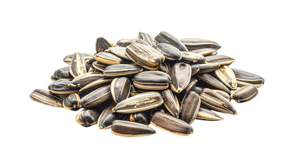 A close-up studio shot depicts a pile of seeds against a stark black background. The seeds are oval shaped