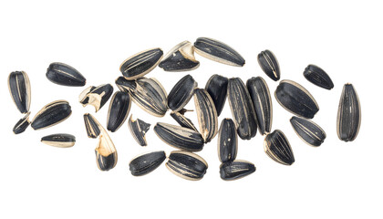 Close-up of numerous oval-shaped seeds, displaying black and white striped husks, arranged randomly against a dark background