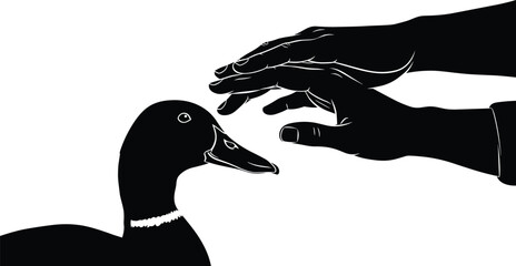 Human hand touching duck silhouette, gentle interaction between person and animal, trust care nature concept, black vector illustration, wildlife protection symbol isolated background