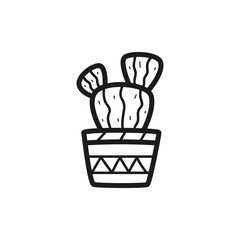 Cactus potted graphic design illustration