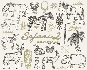 Safari Whimsical Set - vector hand drawn illustrations