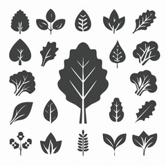 Collection of various leaf illustrations in different shapes and sizes on a white background