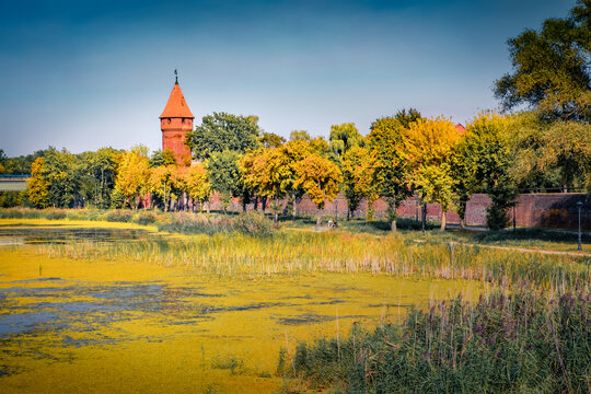 Amazing summer cityscape of Malbork town on the Nogat River, Pomeranian Voivodeship,  Poland, Europe. Colorful morning view of red bricks tower of Malbork Castle. Traveling concept background.