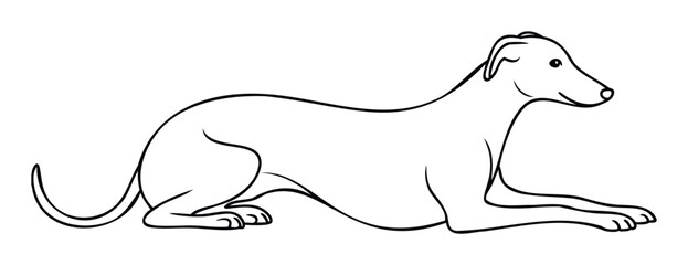 A graceful greyhound dog peacefully resting in a relaxed pose with a simple outline drawing style perfect for pet care branding and animal welfare promotions
