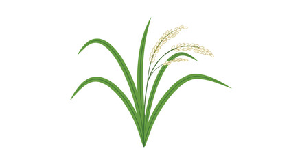 Vibrant green rice plant illustration featuring golden grains ready for harvest, symbolizing agricultural abundance and staple food cultivation. A