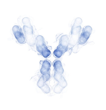 3d antibody structure transparent background cutout png