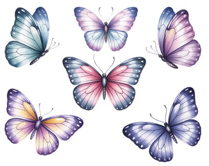 Hand painted blue butterfly watercolor illustration set on white background.