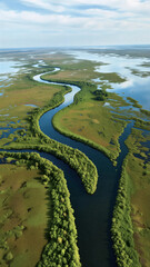 River Delta Wetland