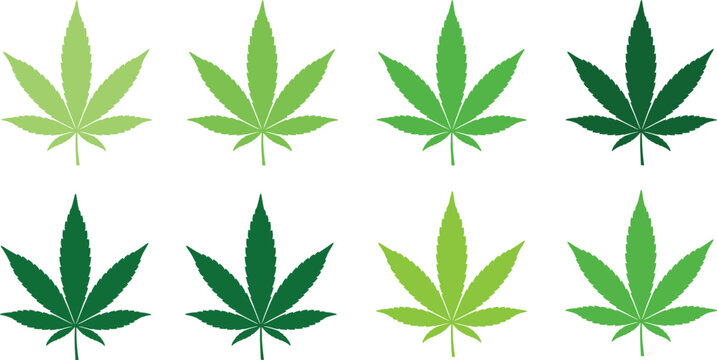 Green cannabis leaf vector set with different shades marijuana hemp foliage icons isolated on white background