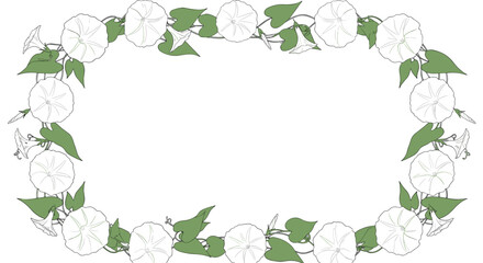 Rectangular frame made of white morning glory flowers and green heart-shaped leaves for decorative borders and wedding invitations.