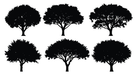 A collection of tree silhouettes against a white background